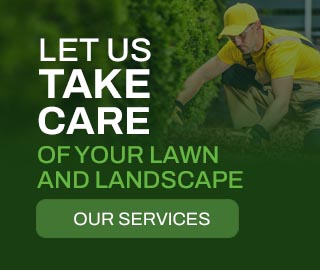 Let us take care of your lawn and landscape